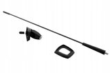 Antennenstab und Antennenfuss für Peugeot Citroen Fiat Ford Renault