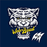 SONAX 01355000 Winterbeast Antifrost + KlarSicht bis -20°C 5L Frostschutzmittel